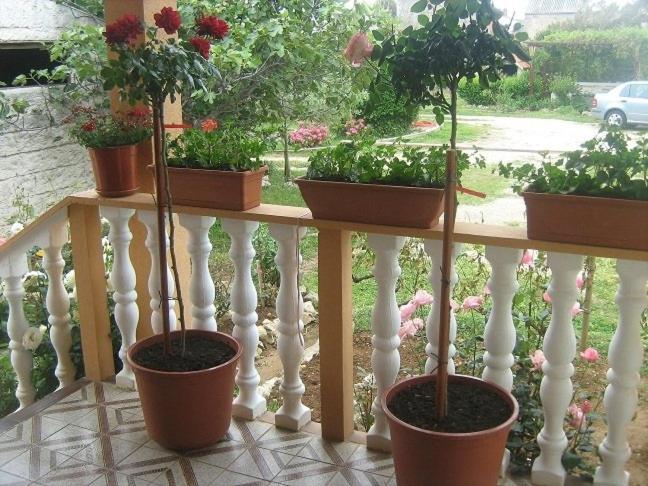 Apartment In Nin With Terrace, Air Conditioning, Wi-Fi エクステリア 写真